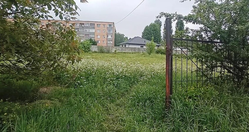 Пинск продолжает борьбу за чистоту: власти обозначили проблемные территории