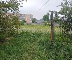 Пинск продолжает борьбу за чистоту: власти обозначили проблемные территории