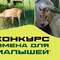 В Беловежской пуще ищут имена для новорожденных животных