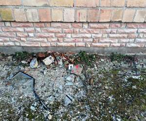 Кровь на разбитом стекле: в Пинске вора вычислили по ДНК