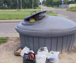 Можно ли выбрасывать мусор в контейнеры соседних домов? Что говорит закон