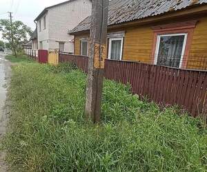 В Пинске проведут рейды и усилят контроль за чистотой частного сектора