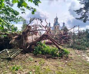 Последствия грозового фронта устраняли почти 80 аварийных бригад энергетиков в Брестской области