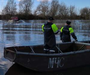 В Пинске в реке Припять утонул пенсионер