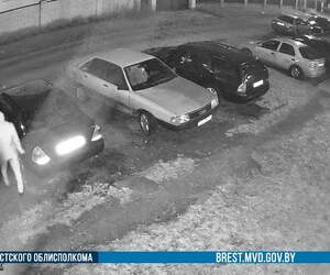 Перепутал двор, дом, подъезд, повредил чужое авто: ирония судьбы по-пински или как за вечер получить уголовку и крупный штраф