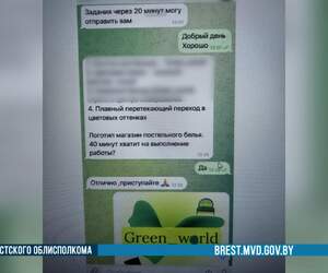 Пинчанка потеряла 3500 рублей, пытаясь получить удаленную работу