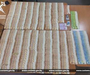 Пассажир автобуса из Польши «забыл» задекларировать почти 42 тысячи долларов